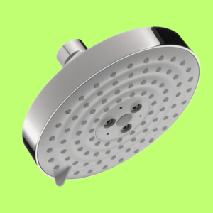Hansgrohe 27495001 Raindance Showerhead