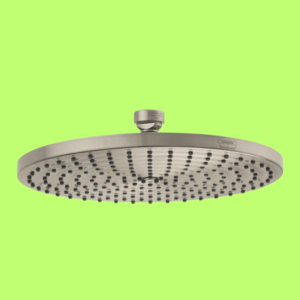 Hansgrohe Raindance S 9-inch Showerhead