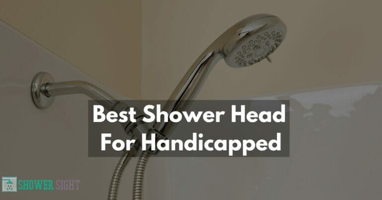 Best Shower Head For Handicapped