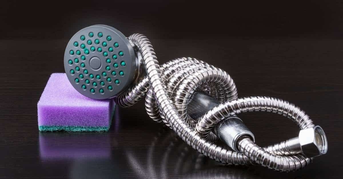 Best Handheld Shower Head With Extra Long Hose