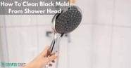 How To Clean Black Mold From Shower Head Explained Shower Sight