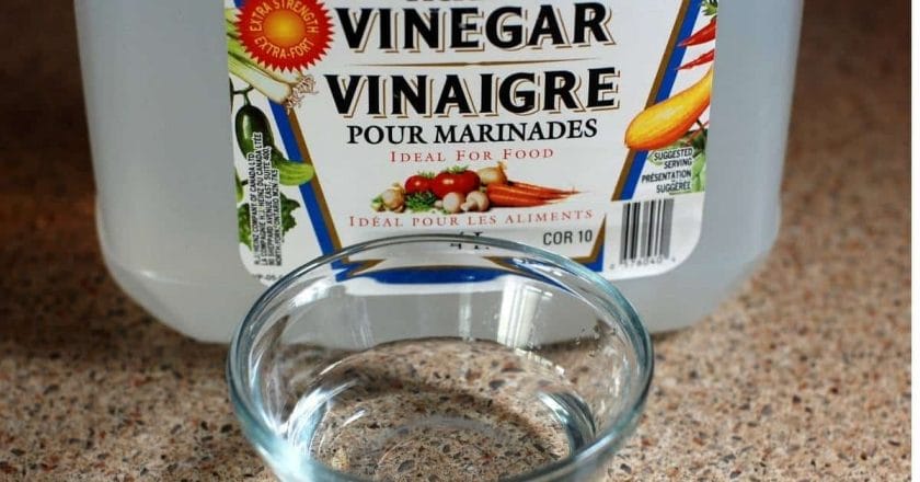 How To Clean A Shower Head With Vinegar and a pic demonstrating how a vinegar looks like