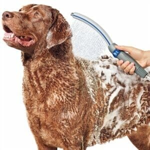 Best Shower Heads For Dogs