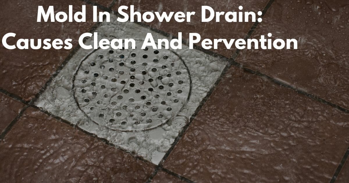 Mold in Shower Drains Causes, Clean, and Prevention