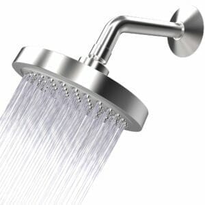 Wall Mounted Shower Head that is one of the types of shower head 